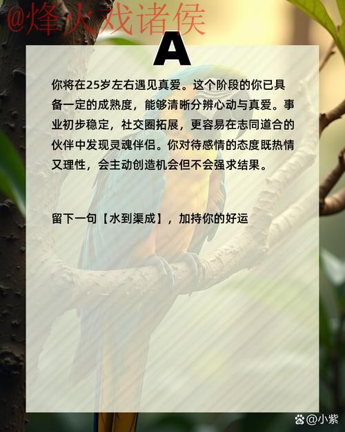 使用智能手机进行世界杯预测的最佳方法 使用智能手机进行世界杯预测的最佳方法