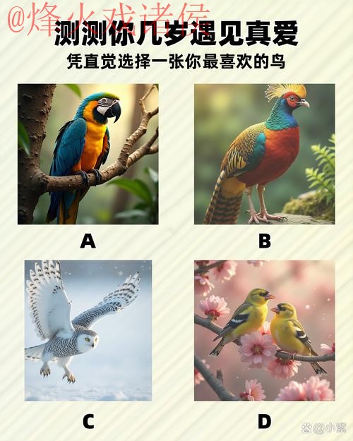 使用智能手机进行世界杯预测的最佳方法 使用智能手机进行世界杯预测的最佳方法